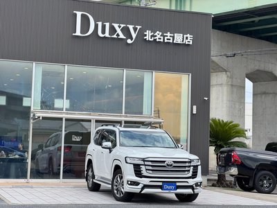 2025 Toyota LAND CRUISER 300 photo 14