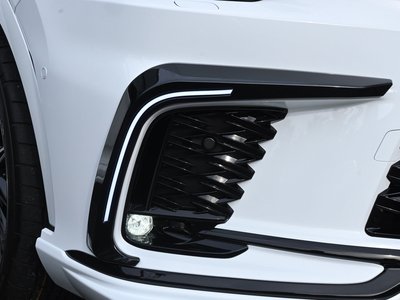 2026 Lexus RX photo 9