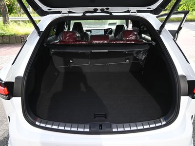 2026 Lexus RX photo 51