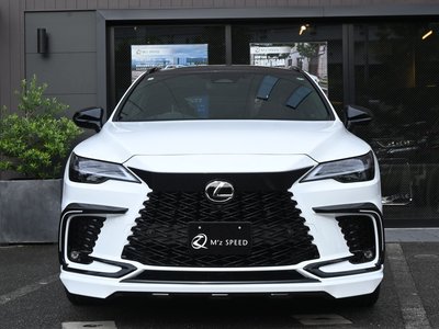 2026 Lexus RX photo 6
