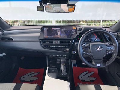 2021 Lexus ES photo 15