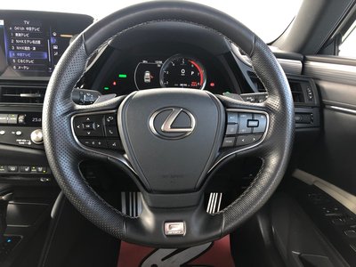 2021 Lexus ES photo 16