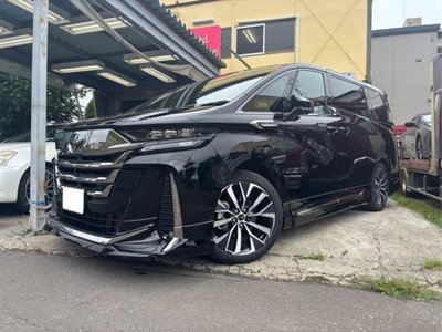 2025 Toyota VELLFIRE 照片 20