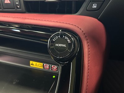 2024 Lexus NX thumbnail 22