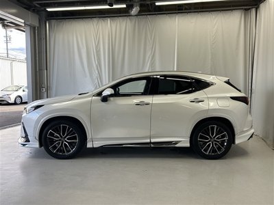 2024 Lexus NX thumbnail 51