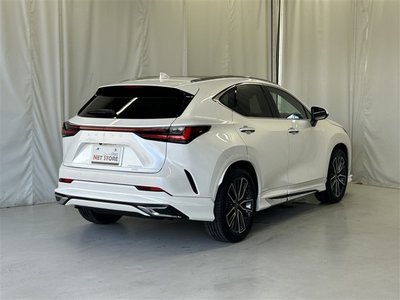 2024 Lexus NX thumbnail 53