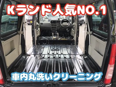 2025 Toyota LAND CRUISER 250 photo 5