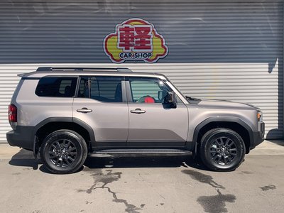 2025 Toyota LAND CRUISER 250 thumbnail 28