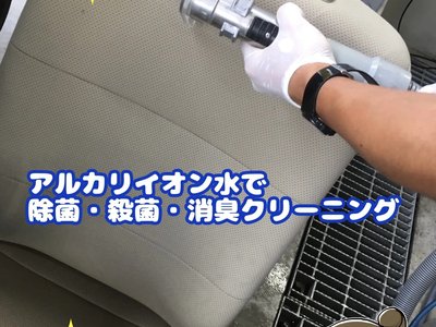 2025 Toyota LAND CRUISER 250 photo 6