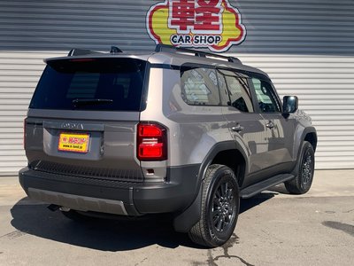 2025 Toyota LAND CRUISER 250 photo 9