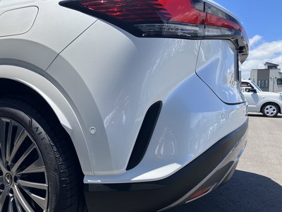 2025 Lexus RX thumbnail 66