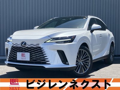 2025 Lexus RX photo 1