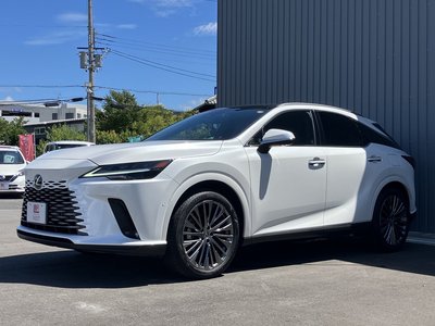 2025 Lexus RX thumbnail 38