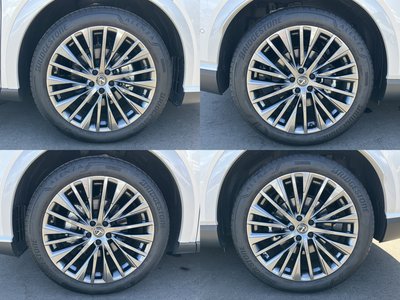 2025 Lexus RX thumbnail 21