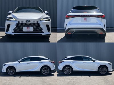 2025 Lexus RX thumbnail 24
