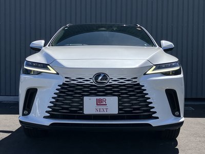 2025 Lexus RX thumbnail 31