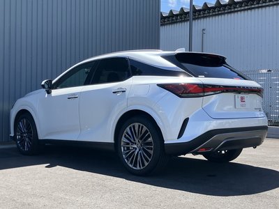 2025 Lexus RX thumbnail 36