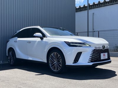 2025 Lexus RX thumbnail 32