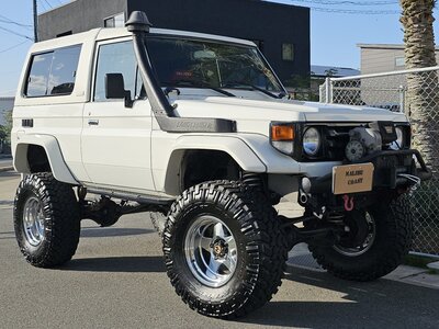 2006 Toyota LAND CRUISER 70 照片 2