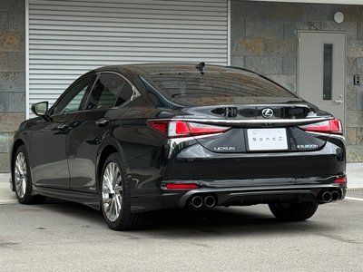 2022 Lexus ES photo 9