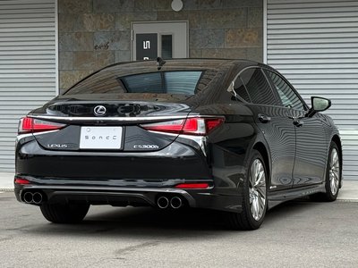2022 Lexus ES photo 10