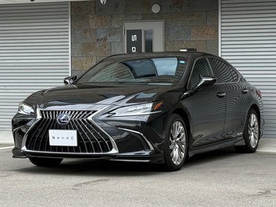 2022 Lexus ES photo 8