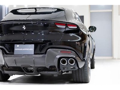 2024 Ferrari PUROSANGUE 照片 24