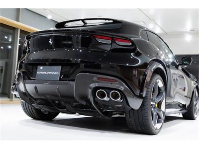 2024 Ferrari PUROSANGUE 照片 22