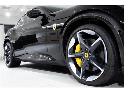 2024 Ferrari PUROSANGUE 照片 14