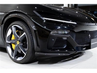 2024 Ferrari PUROSANGUE 照片 12