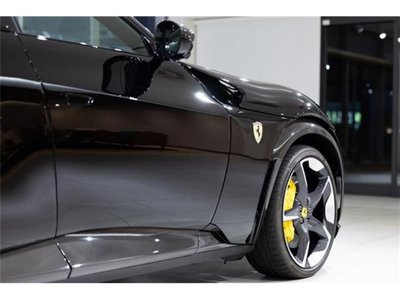 2024 Ferrari PUROSANGUE 照片 19