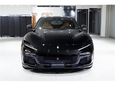 2024 Ferrari PUROSANGUE 照片 10