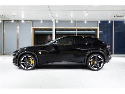 2024 Ferrari PUROSANGUE 照片 9