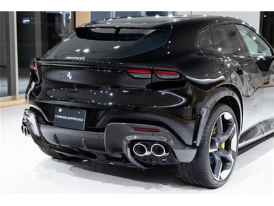 2024 Ferrari PUROSANGUE 照片 23