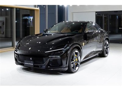 2024 Ferrari PUROSANGUE 照片 2