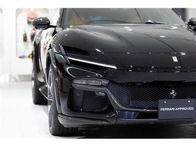 2024 Ferrari PUROSANGUE 照片 15
