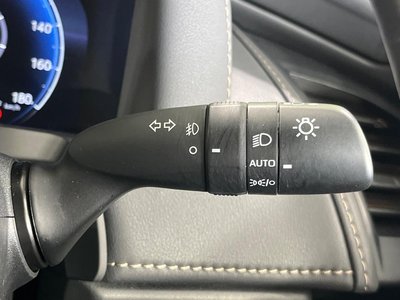 2024 Toyota ALPHARD 照片 39