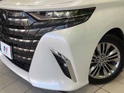 2024 Toyota ALPHARD 照片 13