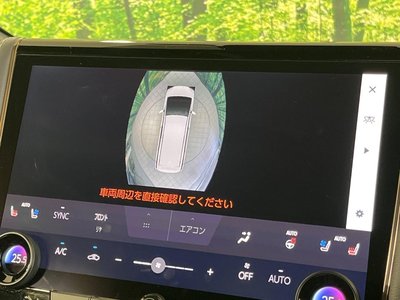 2024 Toyota ALPHARD 照片 29