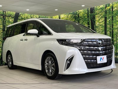 2024 Toyota ALPHARD 照片 17