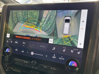 2024 Toyota ALPHARD 照片 6