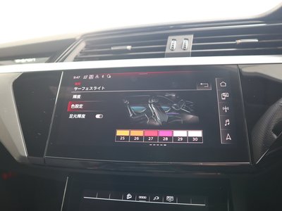 2023 AUDI Q8 SPORTBACK E-TRON photo 46