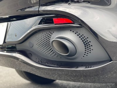 2021 Aston Martin DBX 照片 12