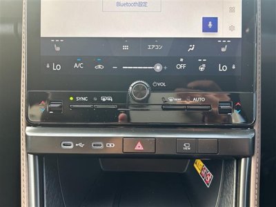 2026 Lexus LBX photo 10