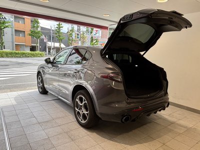 صورة 38 لـ 2025 ALFA Romeo STELVIO