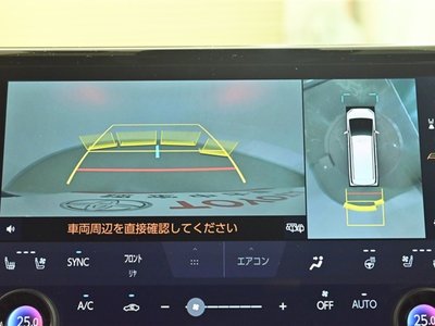 2024 Toyota ALPHARD — фото 9