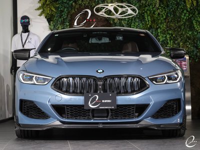 2018 BMW 8 SERIES — фото 35