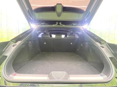 2024 Toyota CROWN SPORT 照片 10