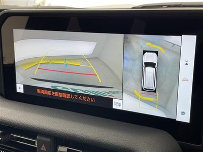 2025 Toyota LAND CRUISER 250 照片 3