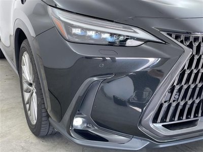 صورة مصغرة 36 لـ 2023 Lexus NX